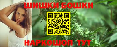 a pvp Камышлов