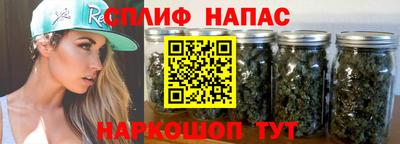 a pvp Камышлов