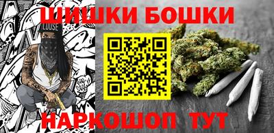 a pvp Камышлов