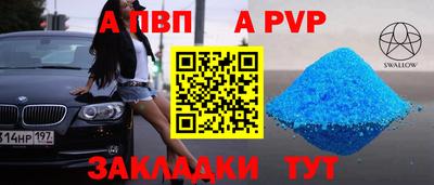 a pvp Камышлов