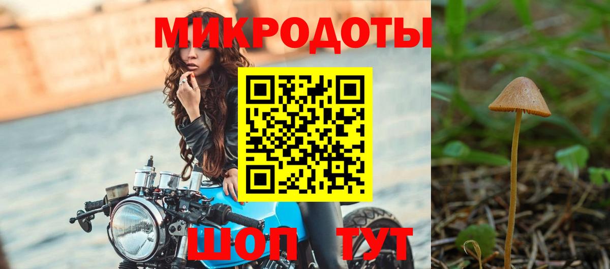 Псилоцибиновые грибы мицелий Южно-Сахалинск