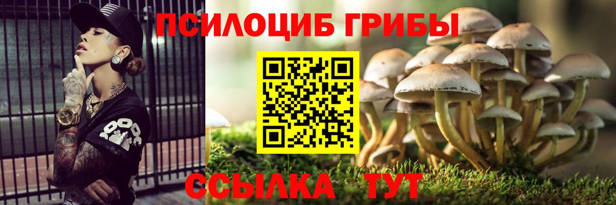 Южно-Сахалинск  Псилоцибиновые грибы мухоморы  Вход с VPN 